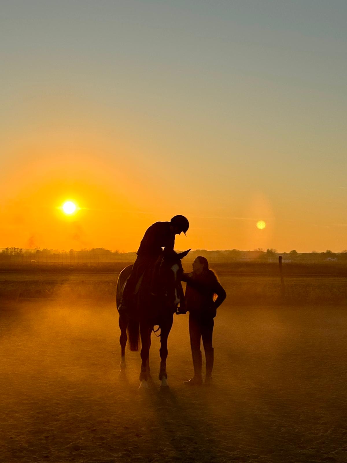 Vedere aeriană a unui club de cai